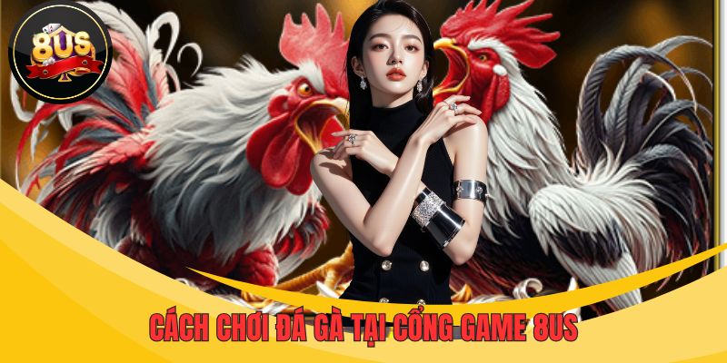 Truy cập sảnh đá gà 8US tham gia cá cược