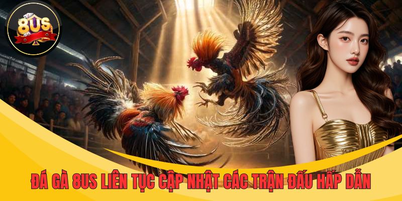 Đá gà 8US liên tục cập nhật các trận đấu hấp dẫn