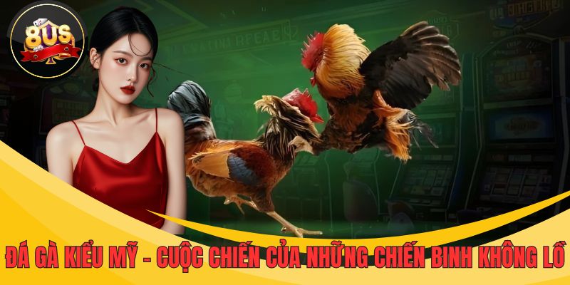 Đá gà kiểu Mỹ thể hiện sức mạnh thực thụ của chiến kê khổng lồ