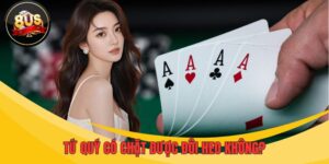 Tứ quý có chặt được đôi heo không? Lý giải chi tiết A đến Z